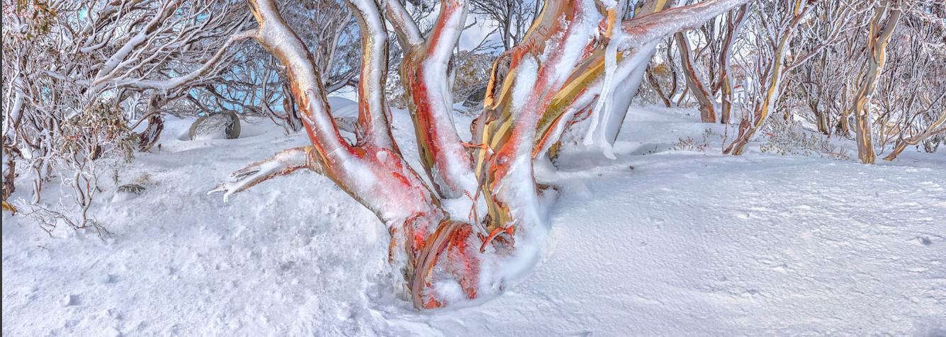 Glenn McKimmin Photo Tours