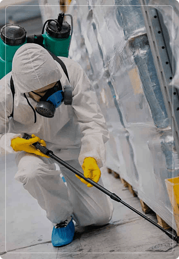 Pest Control Melbourne