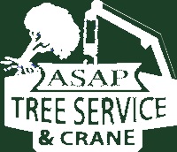 ASAP Tree and Crane Services
