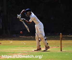 Twenty Over Cricket Format Delivers Pure Entertainment