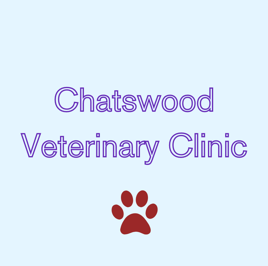 Chatswood Veterinary Clinic - Vet Clinic Sydney