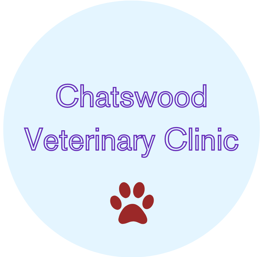 Chatswood Veterinary Clinic Sydney | Full Range Veterinary Services