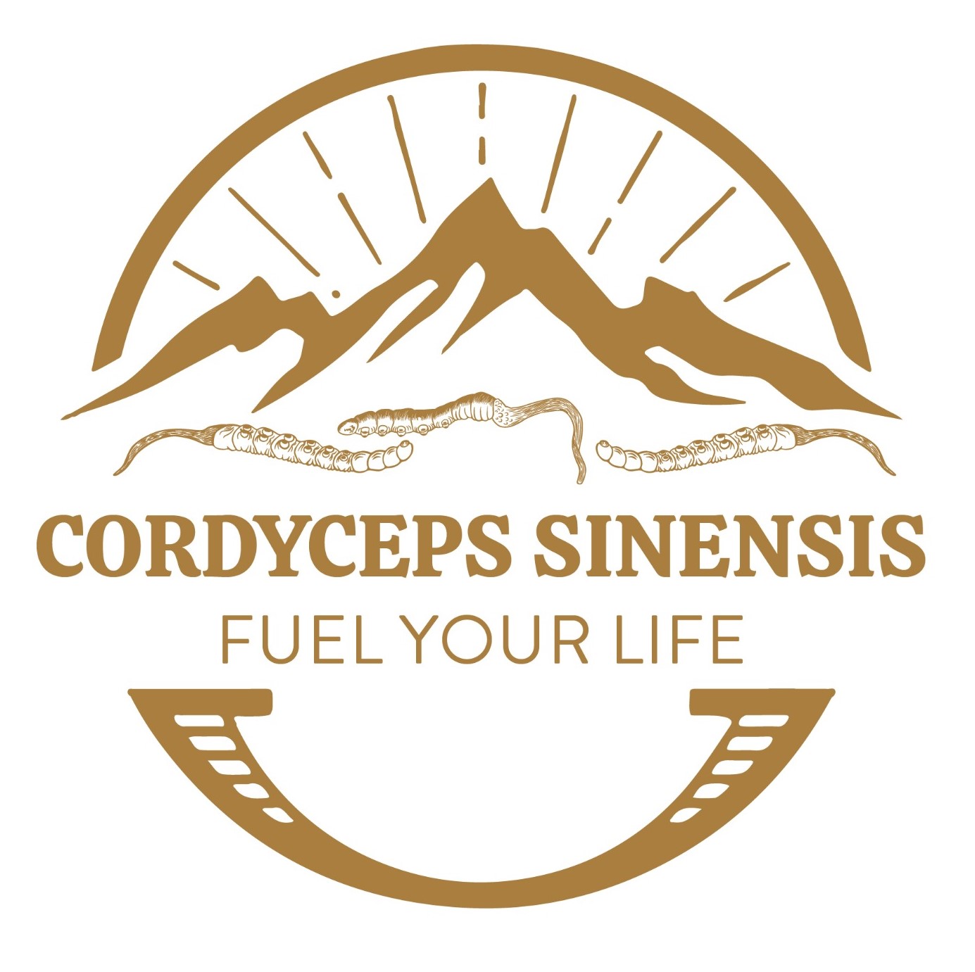 Cordyceps Fuel