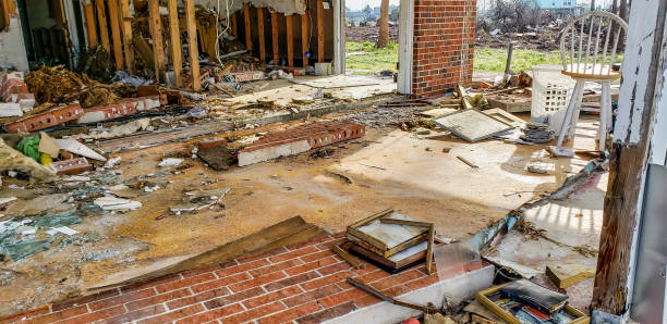 Seattle Environmental Services - Renton WA