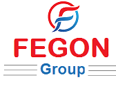 Fegon Group LLC - 8445134111 - Network Security