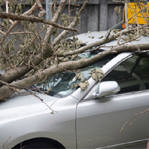 Farmers Insurance: Steve Wilson