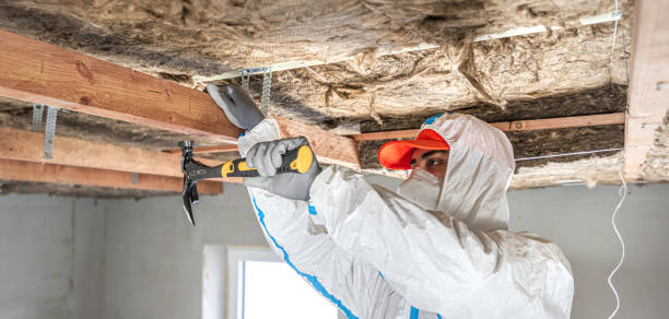 Seattle Environmental Services - Lacey WA