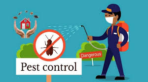 Pest Control Minto