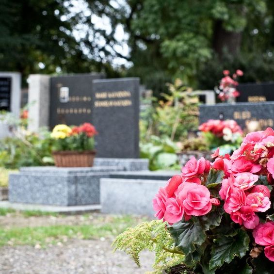 Edward J. Fox &amp; Sons Funeral Home