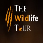 Luxury Tiger & Wildlife Safaris in India – The Wildlife Tour