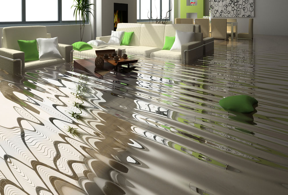 Water Removal Adelaide