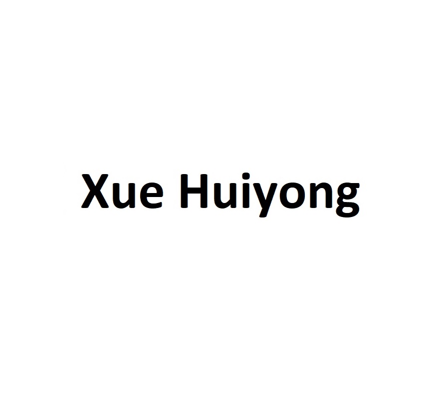 Xue Huiyong – Technology Consultant
