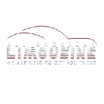 All American Limousine
