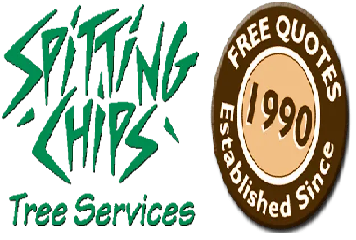 Tree Maintenance in canberra