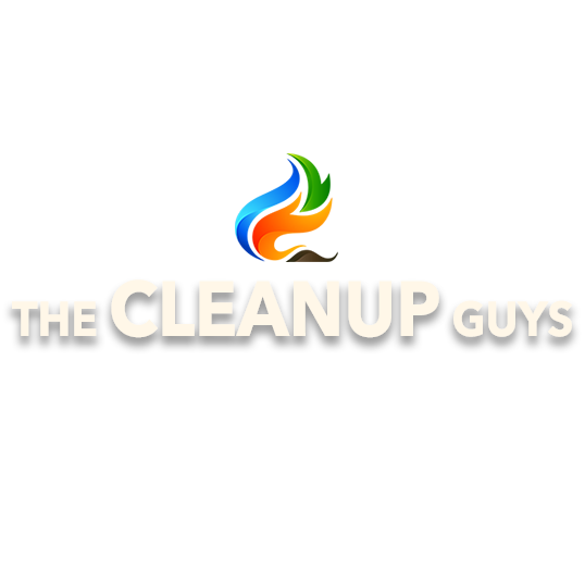 The CleanUP Guys