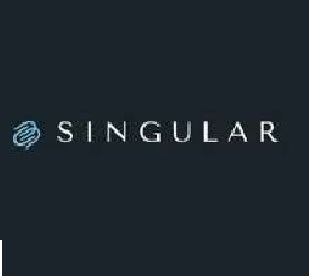 Singular Global