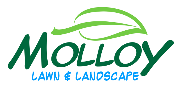 Molloy Lawn and Landscape