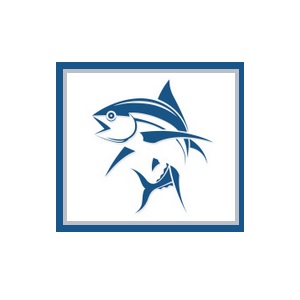 tuna fishing charters cape cod