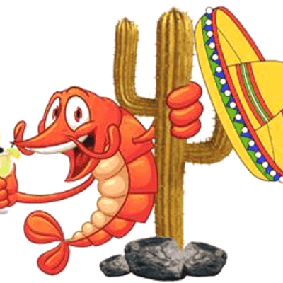 Golden Cactus Mexican Grill