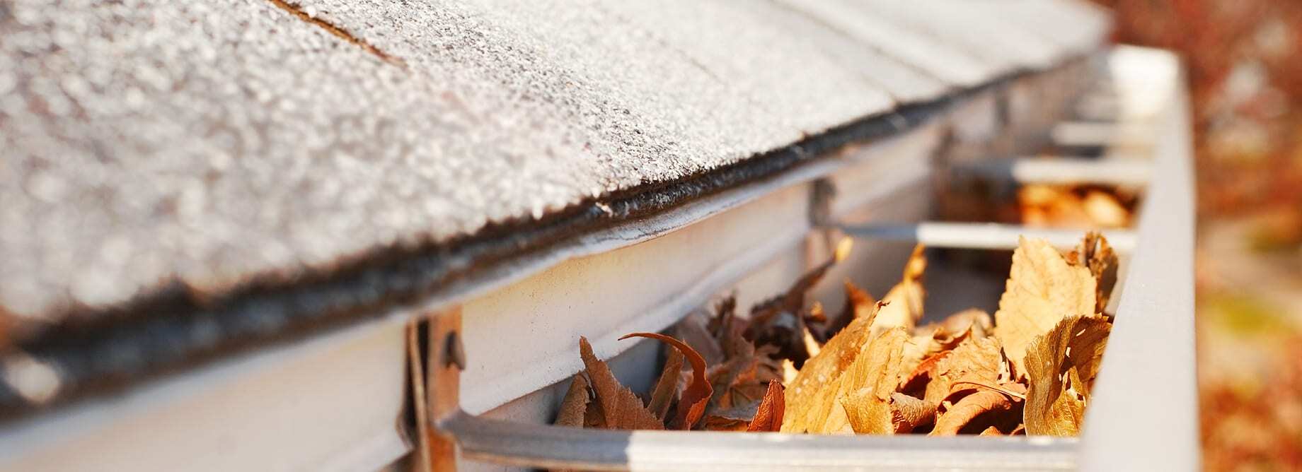 Exterior Gutter Cleaning Solution Miami