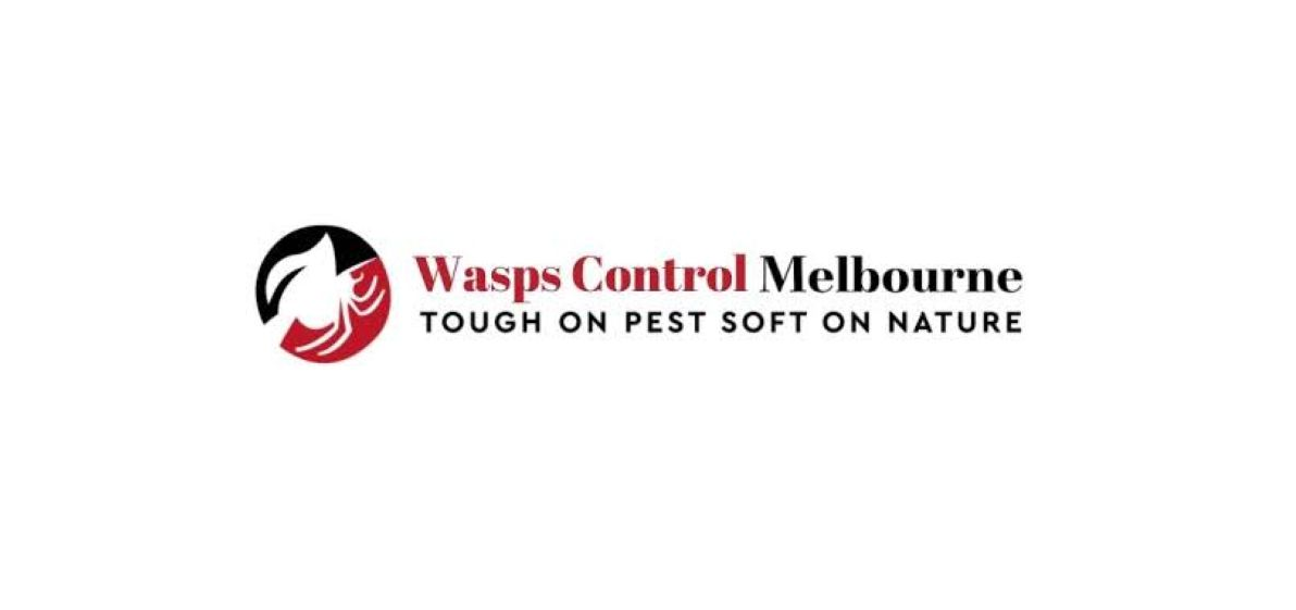 Wasps Control Melbourne: Expert Solutions for a Sting-Free Property