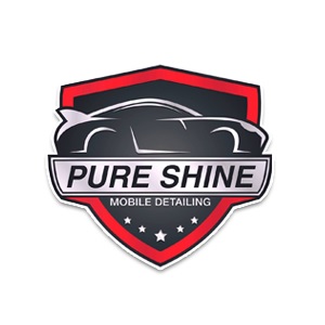 auto detailing estero fl