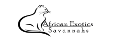 African Savannah