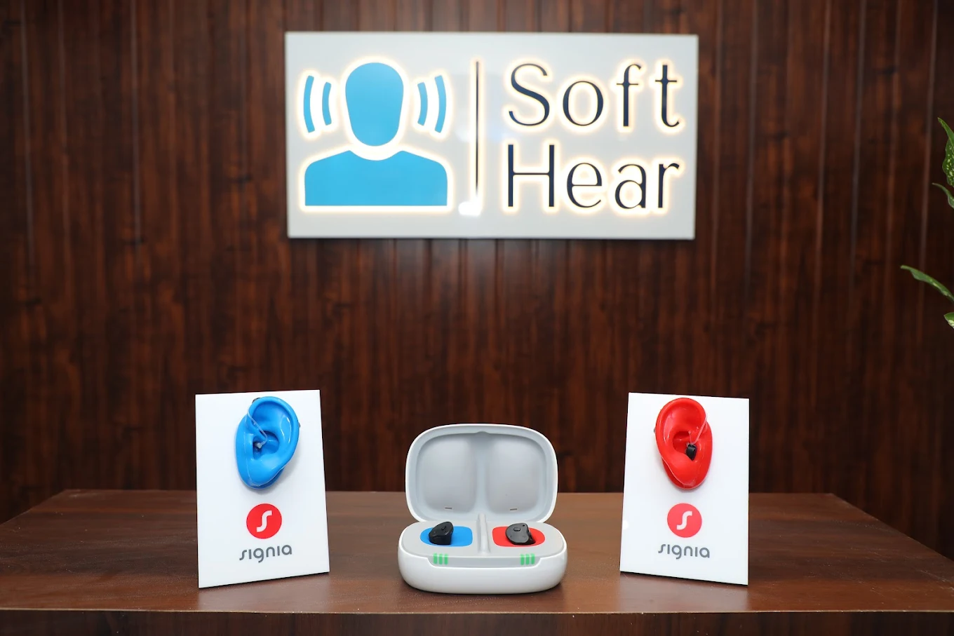 Digital Hearing Aid Clinic in Gurgaon - Gallery 2