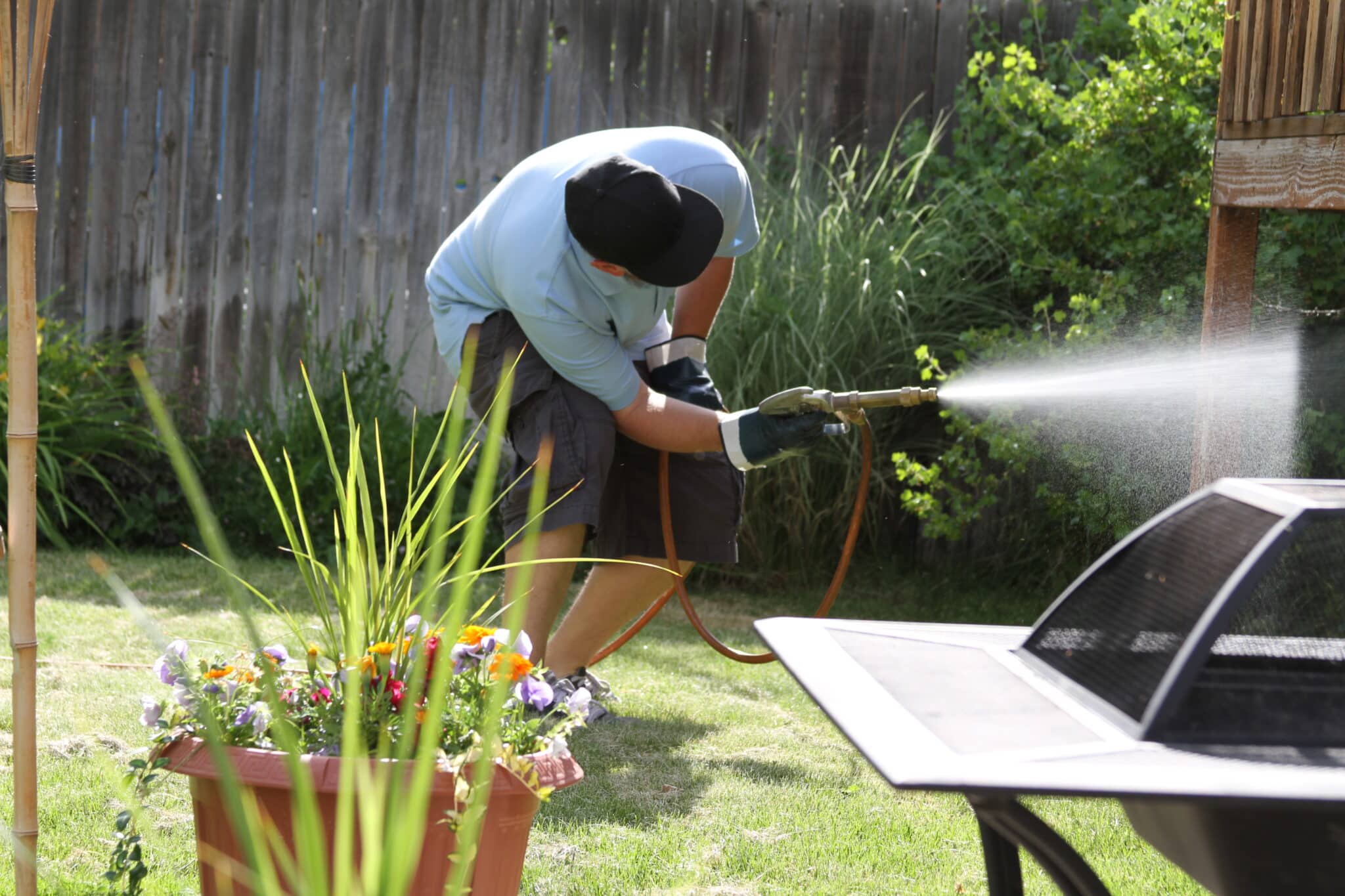 A-1 Exterminators - Gallery 3