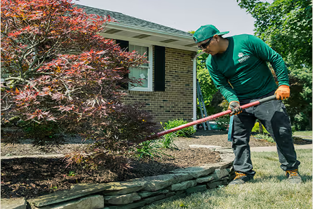 Virginia Landscape Company - Gallery 3
