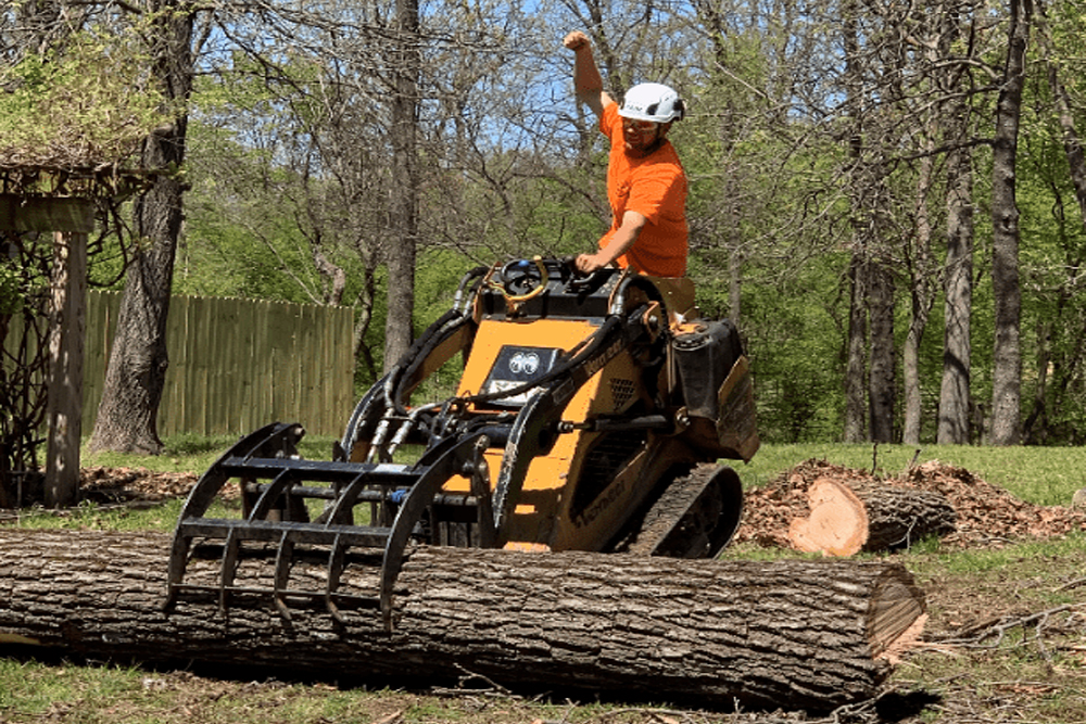 Trufast Tree Service - Gallery 2