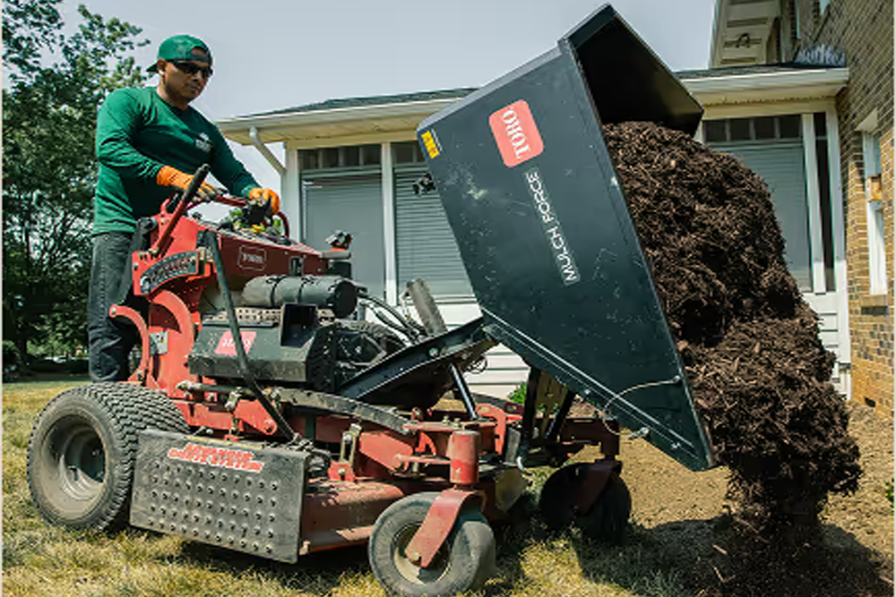 Virginia Landscape Company - Gallery 4