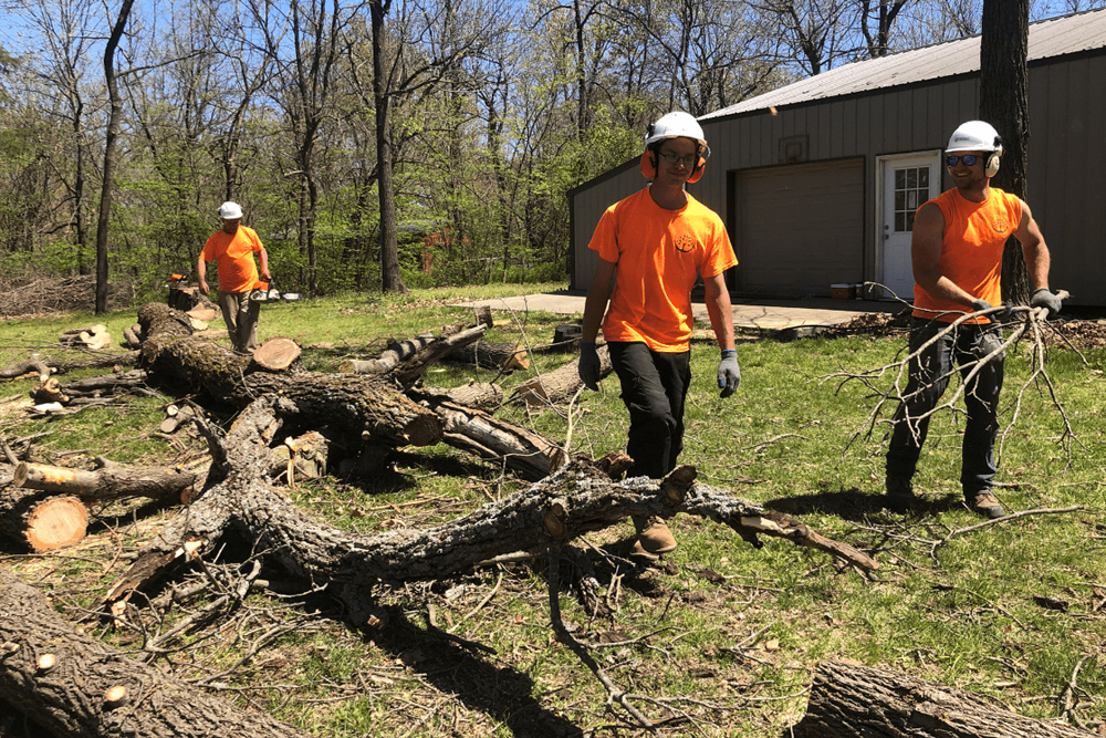 Trufast Tree Service - Gallery 3