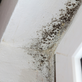 1-800 Water Damage - Gallery 1