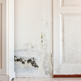 1-800 Water Damage - Gallery 2