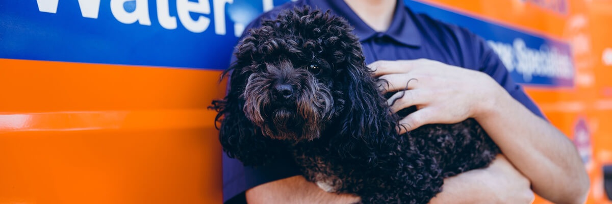 911 Restoration of Wilmington - Gallery 2