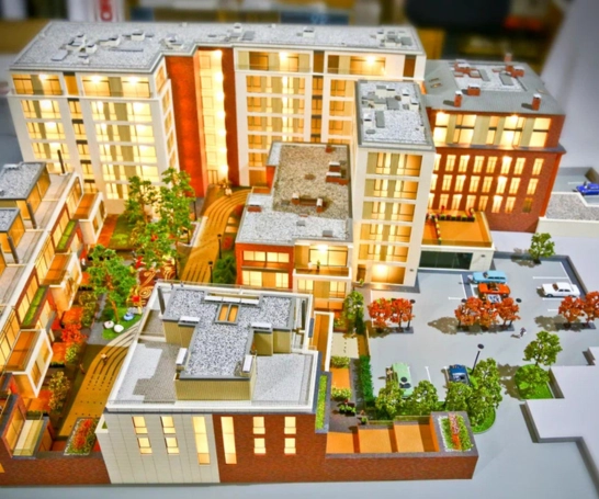 Design Roots - Gallery 2