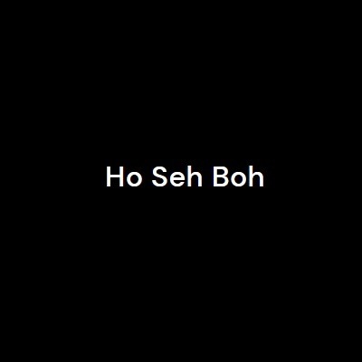 Ho Seh Boh Group - Gallery 1