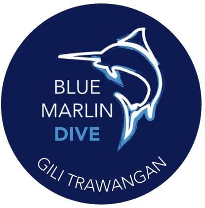 The PADI IDC Gili Trawangan – Gili Islands - Indonesia - Gallery 1