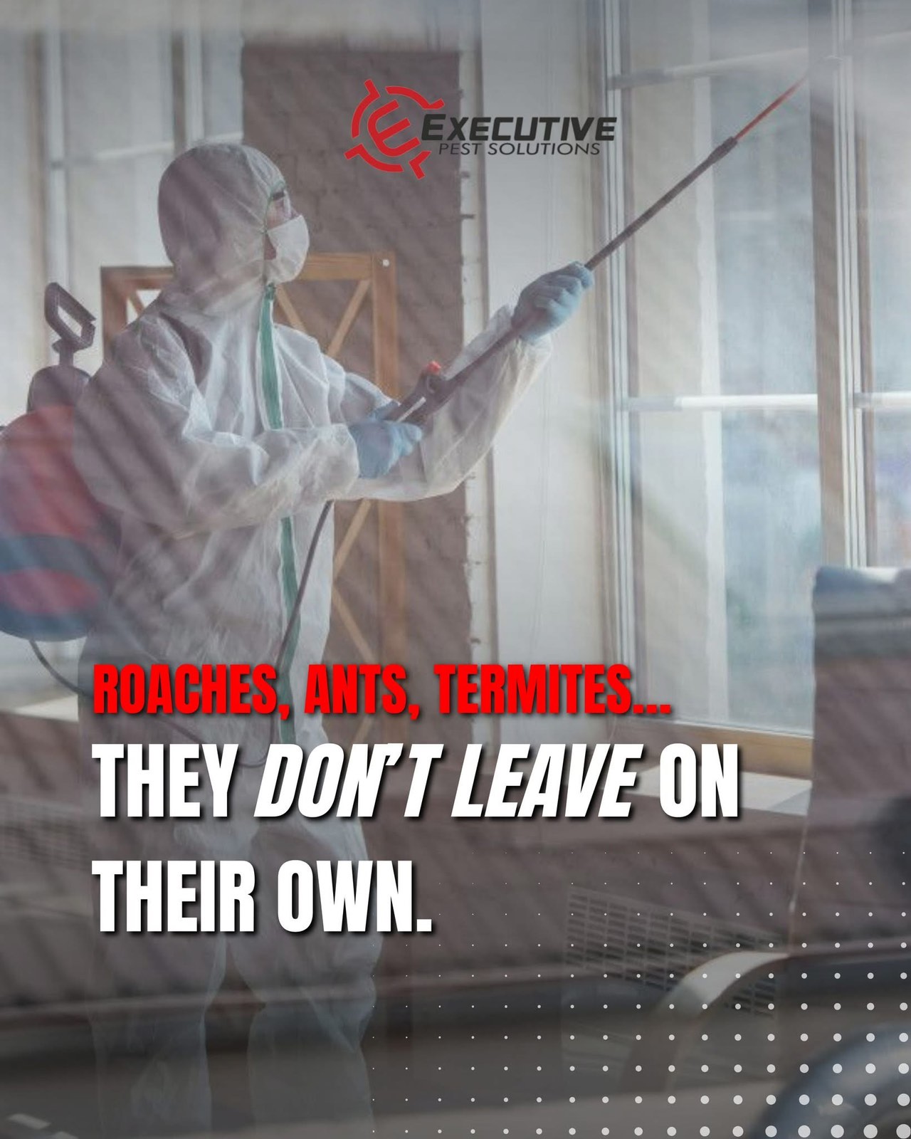 Executive Pest Solutions - Gallery 6